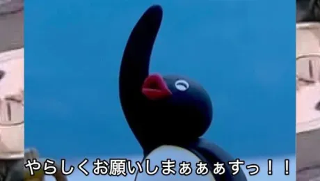 のぞみ宮城仙南ちゃんこ