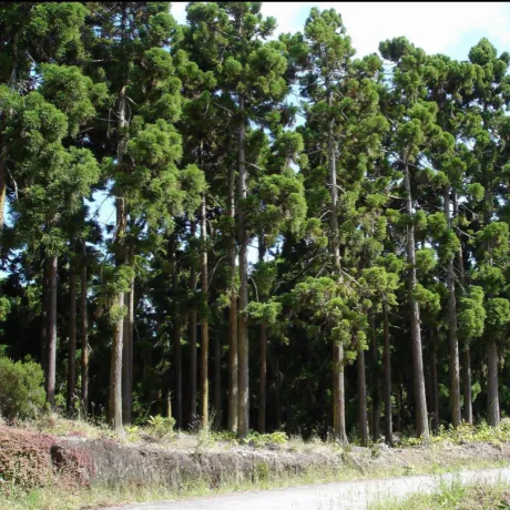 そのみ（沿岸）〔即プレイＯＫ〕ホットスポット55分 5,500円（沿岸）