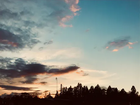 さやか/Mrs クリエーション