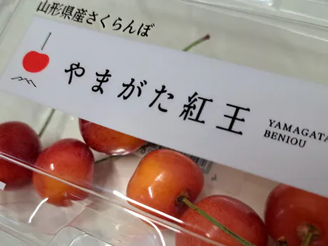 さくらんぼ詳しい方にお聞きしたいです🍒/さよこ