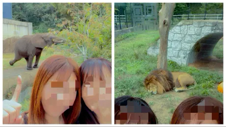 動物園って、こんなに楽しかったっけ？/なぎ【青森弘前五所】