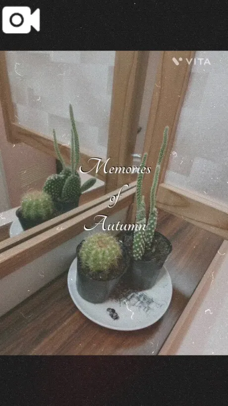🌹10月も素敵なご縁がありますように