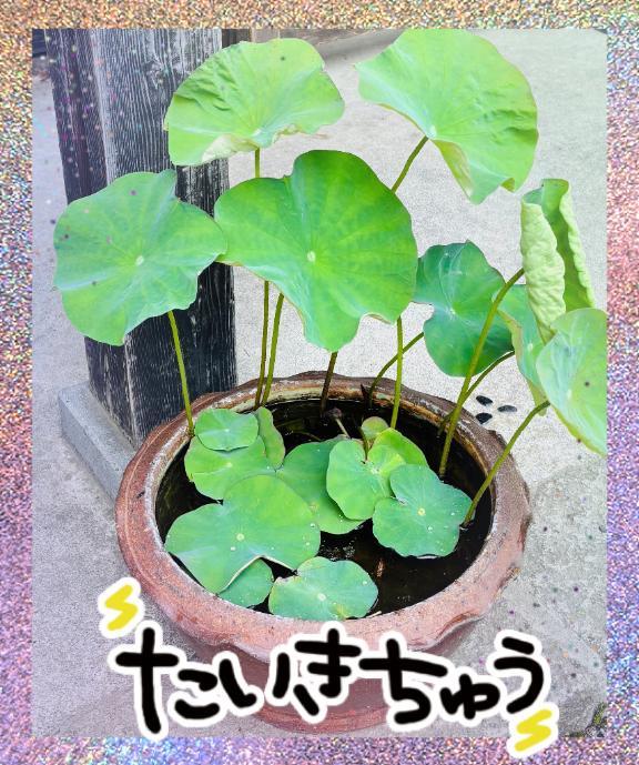 出勤しました