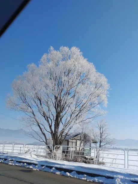 ❣️ 綺麗、、、❣️/ちなつ