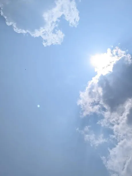 出勤しました