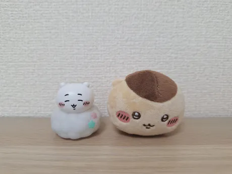 06/16 11:21ゆうき(青弘)