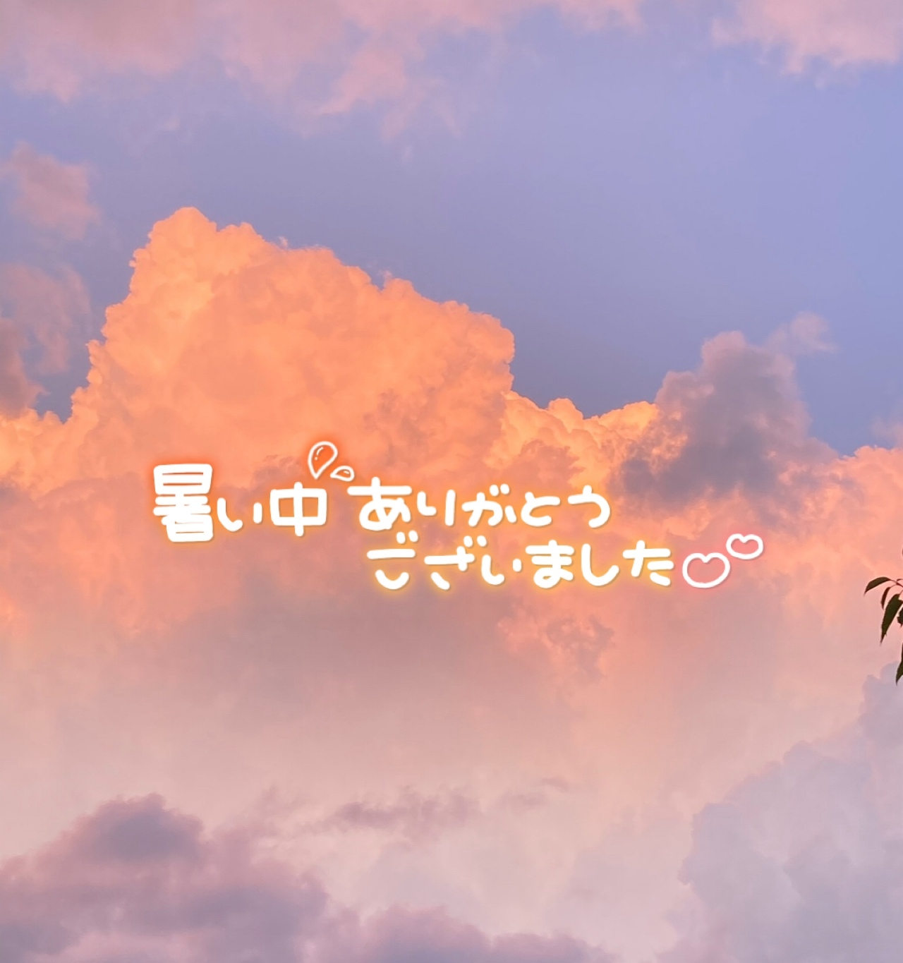 早退ごめんなさい😿