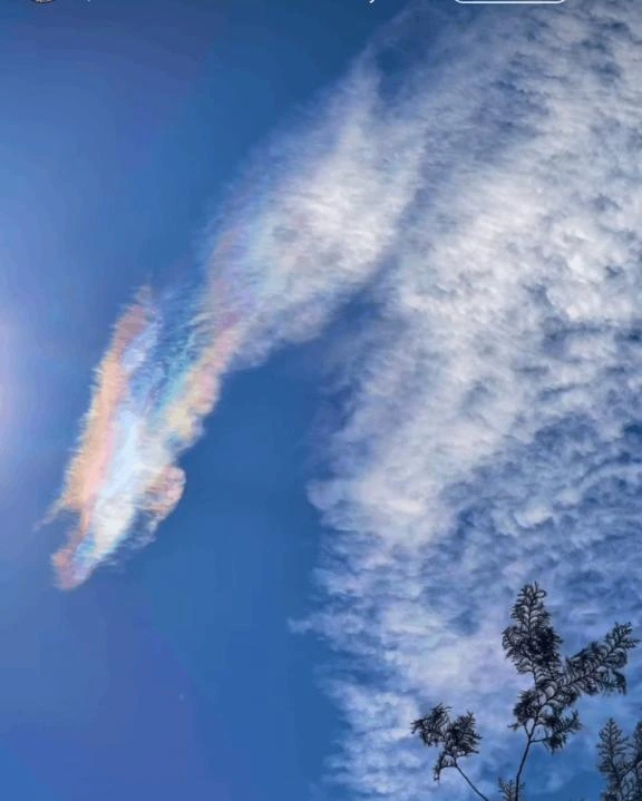 あけおめことよろ