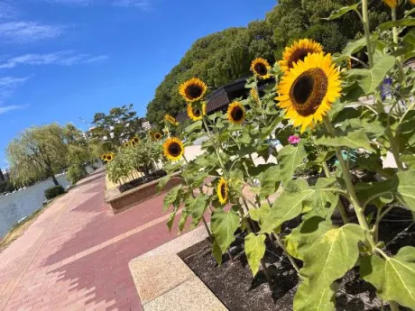 後ほど🌻/恵梨(えり)