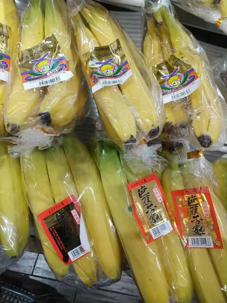 尾野（おの）熟女屋本舗