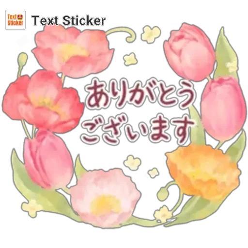 ８日のお礼🩷