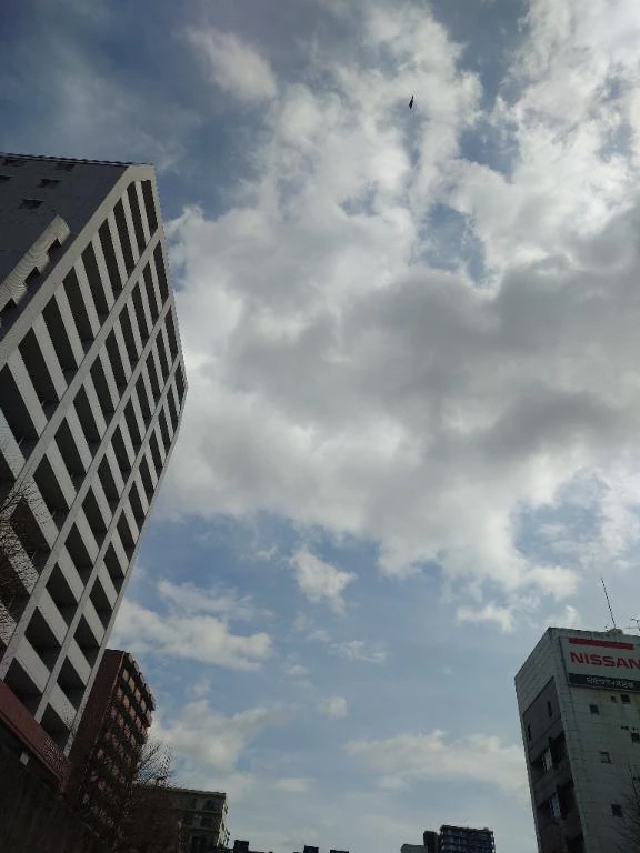 ★まみ★極上熟女店長激押し！隣の人妻お口で愛して