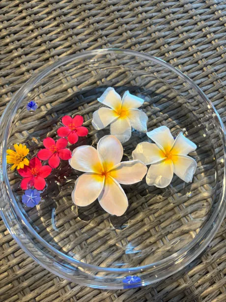 明日、出勤いたします。。。/ことみ