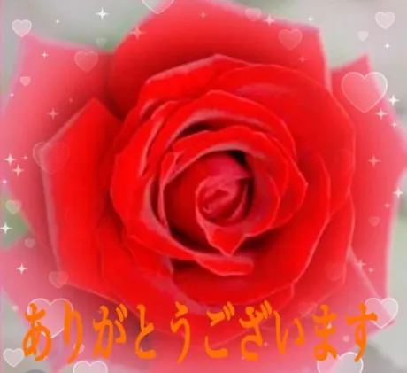 お礼❤️/みこと