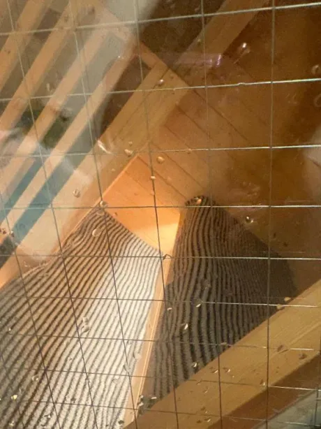 なゆ宮城♂風俗の神様　仙台店