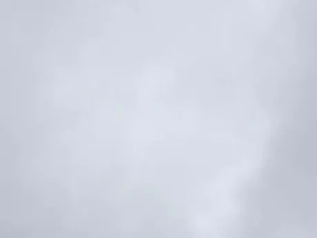 出勤しました/タエ