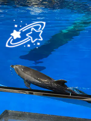 きらきら星♪