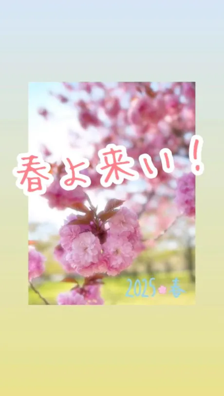 まさみ(青森)青森･弘前人妻デリヘル桃屋