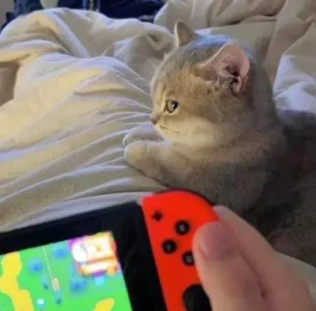 あのロイヤルクラブ