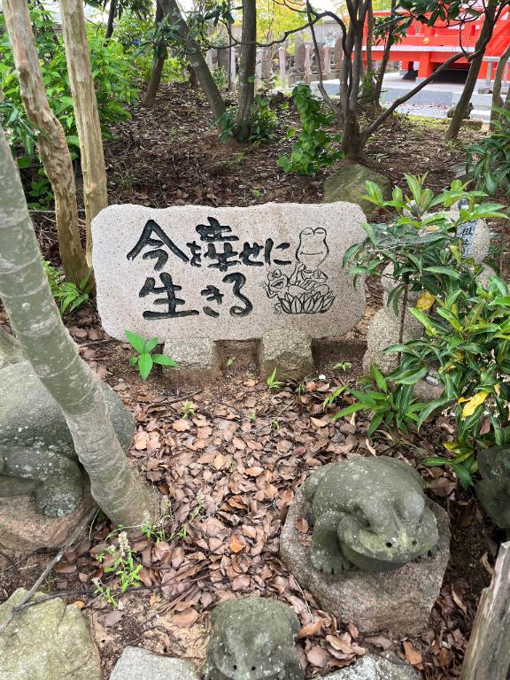 今日は💭