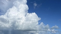 暑い時はうなぎ。