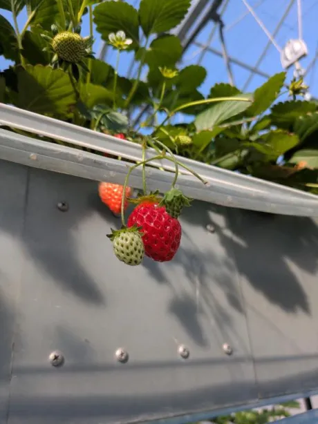 ののか愛 LAND-アイランド-