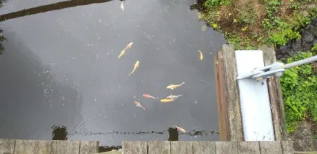 後藤(ごとう)熟女屋本舗