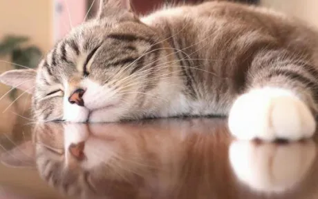 12日、出勤いたします。。。/ことみ