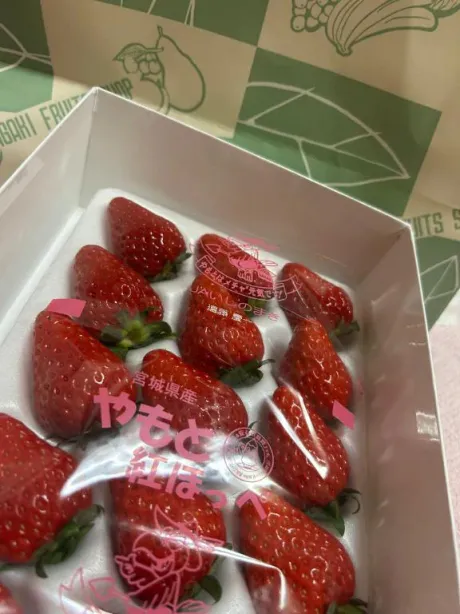 サンタさん🎅💕/ひなの