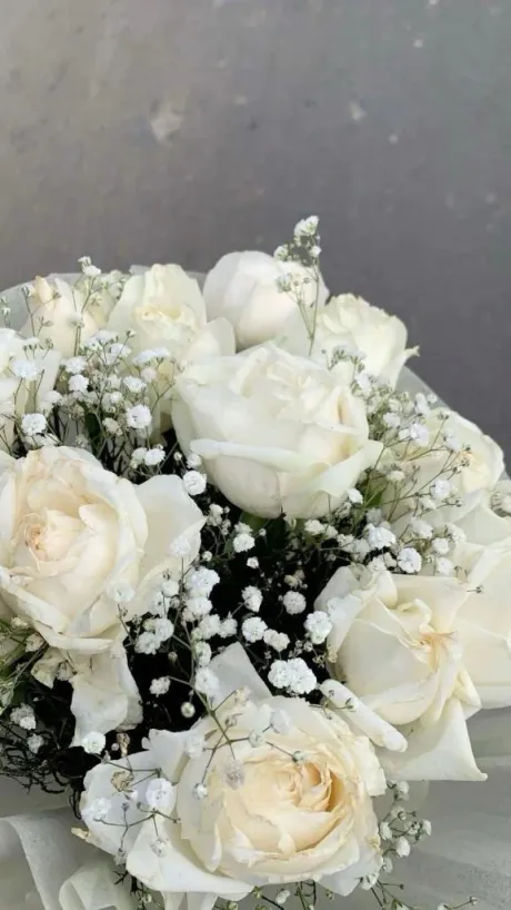 日向(ひなた)グランドオペラ福岡