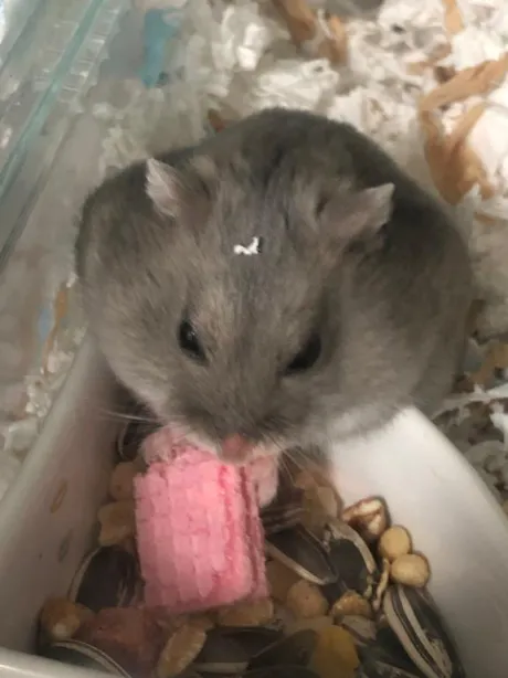 気持ちがね