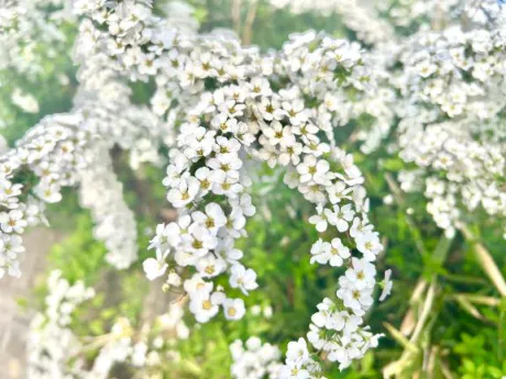 みなみ奥様メモリアル