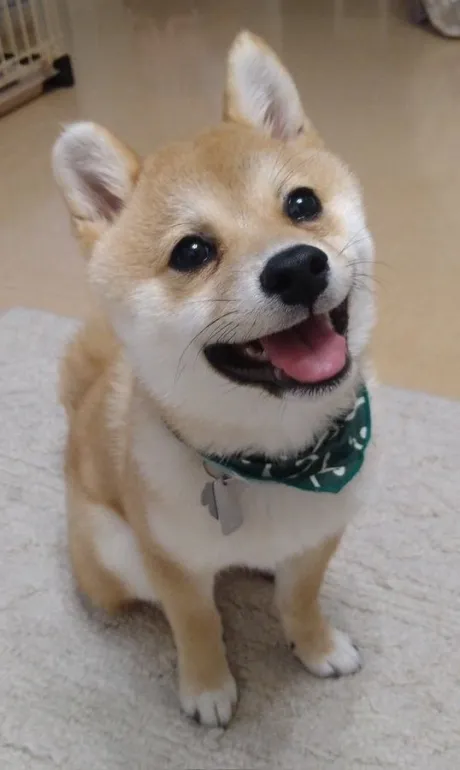 こんばんは～/なお