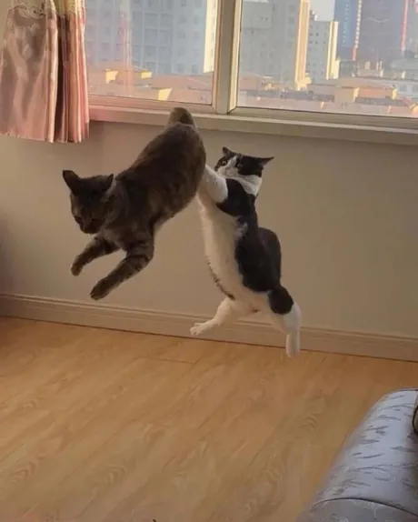 あのロイヤルクラブ