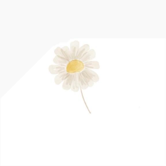 ご予約🦋.*˚