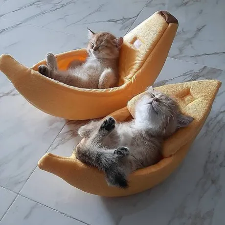 おはよう ( * ・ω・) ノ/なお
