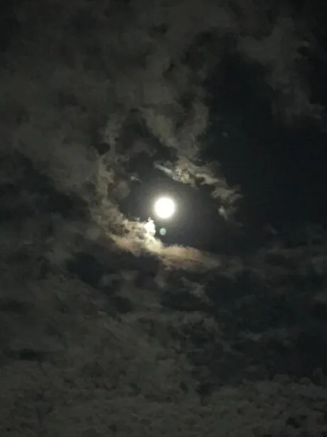昨日もありがとう😊/めぐみ