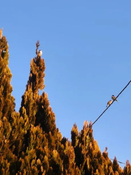 まさみ　奥様SUTEKIな奥様は好きですか？