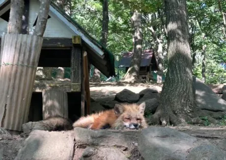 エムのブログ 😿😿