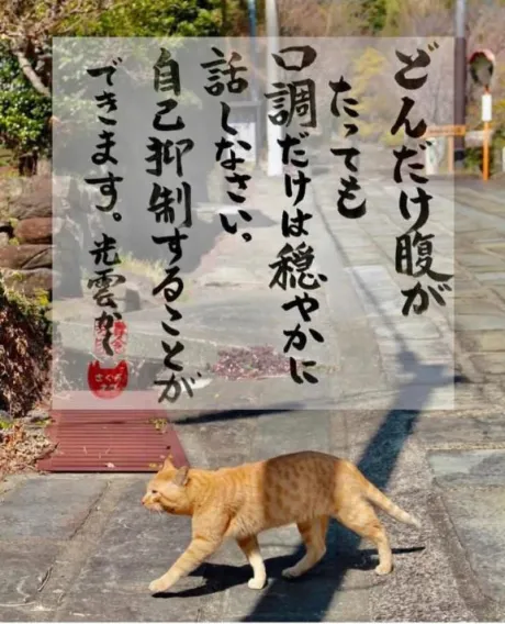 シオン人妻生レンタルーNTRー