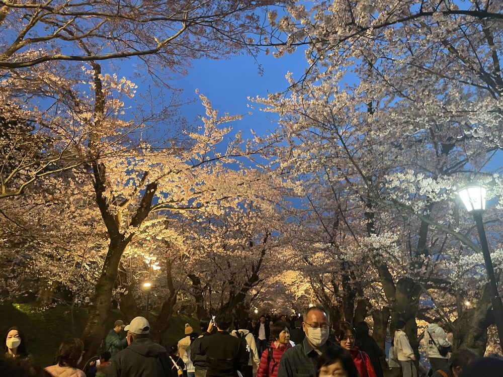 体入！ゆうり☆弘前出張手コキ＆エステ　コキっ娘クローバー
