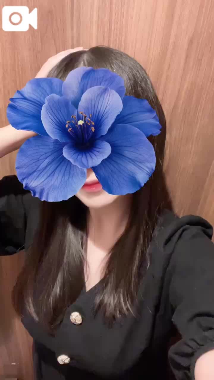 今日は黒