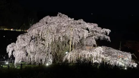 ゆきのおばさんの店　FC　古川店
