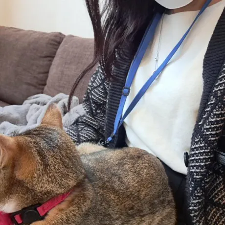 いつき奥様メモリアル