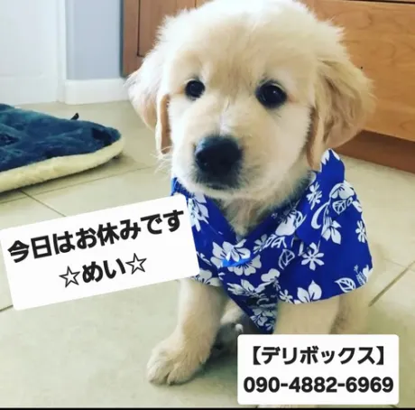 めい (魅惑のEカップ、パイパン嬢)デリボックス