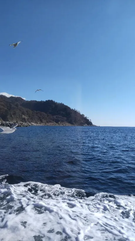 リエコ人妻生レンタルーNTRー