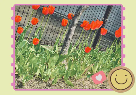 ちか奥鉄オクテツ仙台店（デリヘル市場グループ）