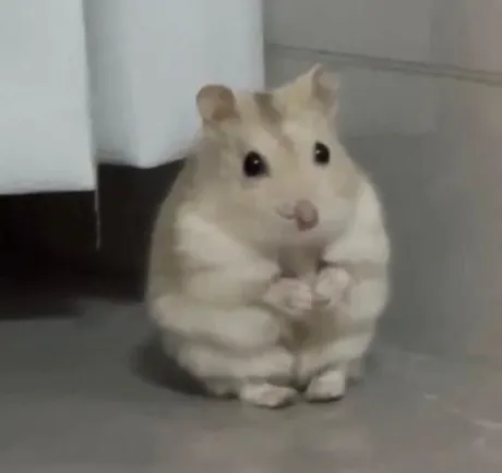エムロイヤルクラブ