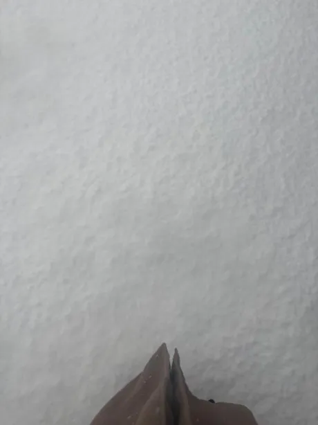 さえ素敵な女の子は好きですか?