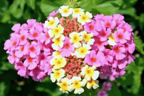 お疲れ様です/そら